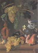 Juan de  Espinosa Still Life with Grapes (san 05) France oil painting artist